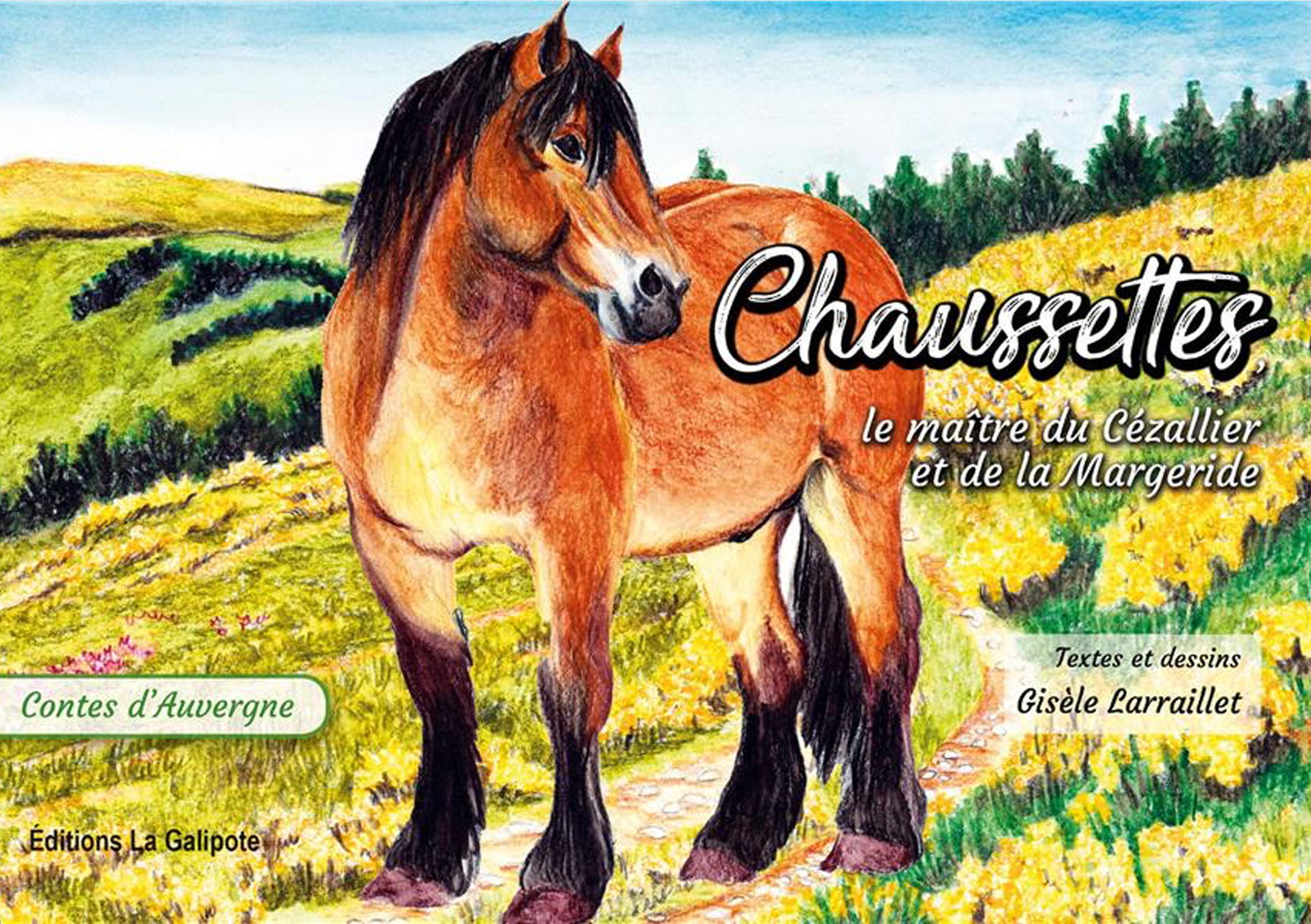 Couverture du livre "Chaussettes, le maître du Cézallier et de la Margeride"